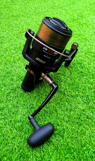 Carrete Daiwa SW 5000 BR