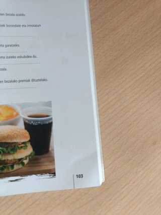 Arian euskara ikasteko metodoa. Lan-koadernoa. C1
