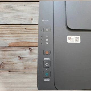 Impresora Canon Pixma MG2556S Gris