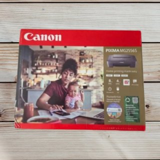 Impresora Canon Pixma MG2556S Gris