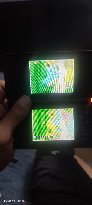 Nintendo DS Lite