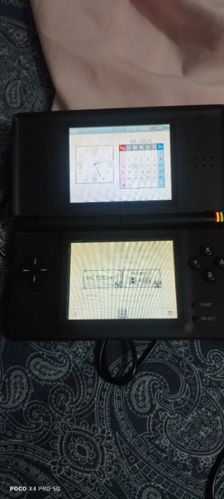 Nintendo DS Lite