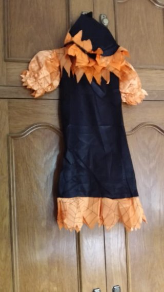Disfraz Bruja Halloween Infantil
