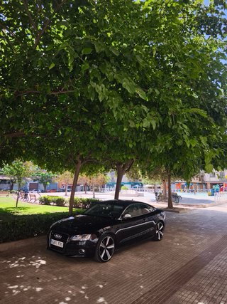 Audi A5 2008