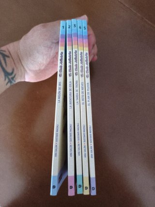 Lote de libros "El Club del Arcoiris"