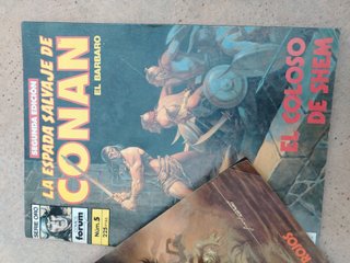 Lote 30 cómics Conan el Bárbaro La Espada Salvaje