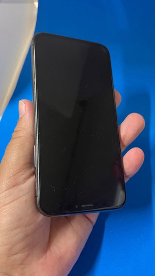 iPhone X