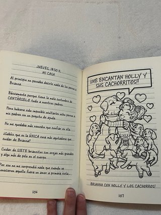 Libro cuento infantil Diario de nikki 10 nuevo