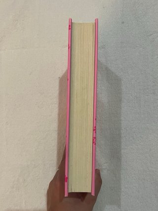 Libro cuento infantil Diario de nikki 10 nuevo