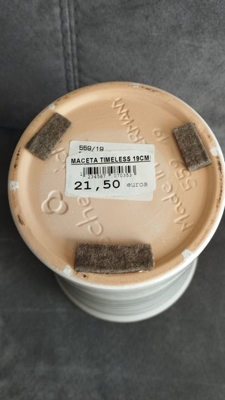 Maceta de cerámica blanca con líneas negras