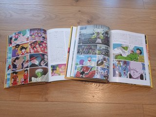 Libros de Dragon Ball ¡Luz, fuego, destrucción!
