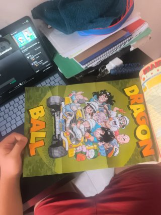 libro de bola de drac legend 9