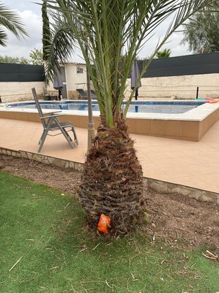 Alquiler  jardín Piscina, Barbacoa y cine Premium.