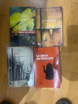 Lote de 4 libros de lectura – ESO/Bachillerato