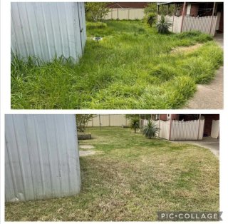Servicio de jardinería