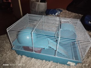 Jaula para hámster con accesorios de regalo