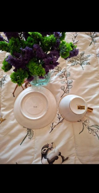 Taza+plato vintage