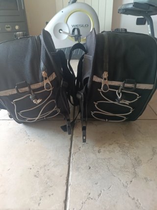 Borse laterali moto Givi Silverbag