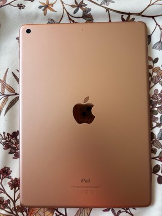 iPad 6ª Gen 32GB WiFi A1893 Rosa