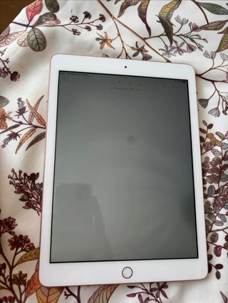 iPad 6ª Gen 32GB WiFi A1893 Rosa