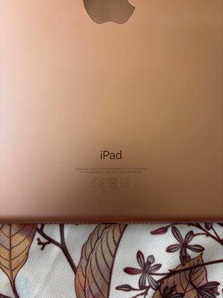 iPad 6ª Gen 32GB WiFi A1893 Rosa