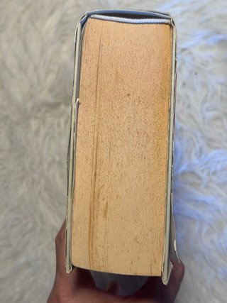Vendo il romanzo "La sposa bambina" di Padma Viswa