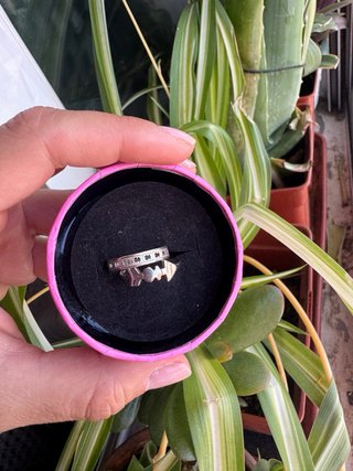 Anillo Tous Plata