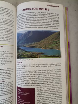Itinerari tra i vigneti