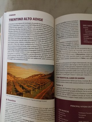 Itinerari tra i vigneti