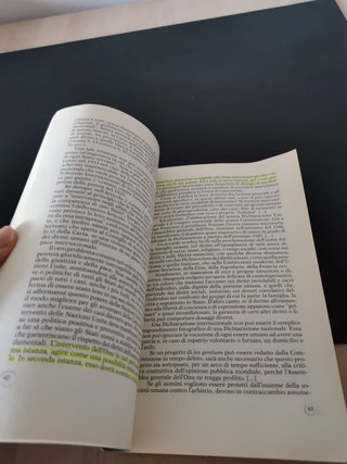 Voci contro la barbarie la battaglia per i diri...