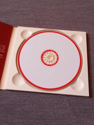 Michael Gira / Dan Matz - What We Did