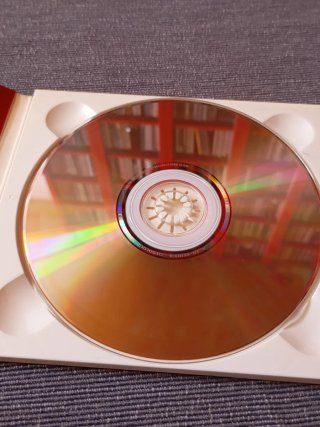Michael Gira / Dan Matz - What We Did