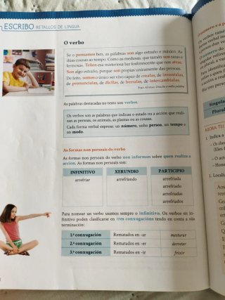 Lingua 4, Educación Primaria, Tecelingua