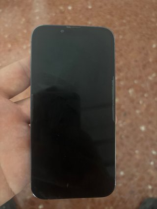 iPhone 13 Pro 256GB Gris/Plata