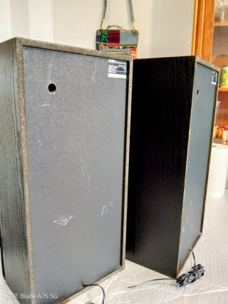 Altavoces Aiwa SX-80 (Años 80).