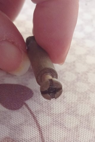 Diez antiguos pernos unión para montaje muebles