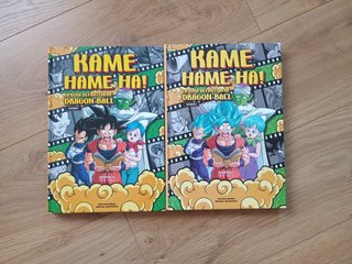 Kame Hame Ha! La guía definitiva de Dragon Ball.