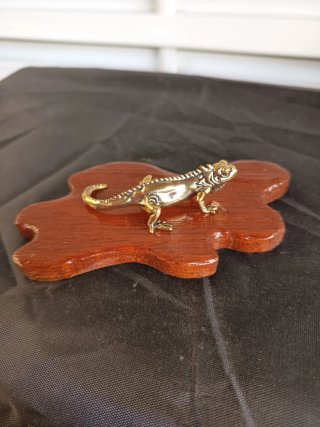 Tempai para bonsai