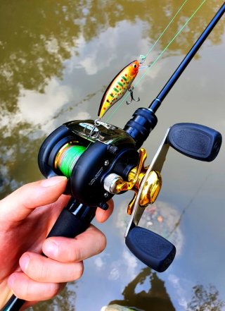 Equipo pesca Casting, Caña, Carrete, Vinilos