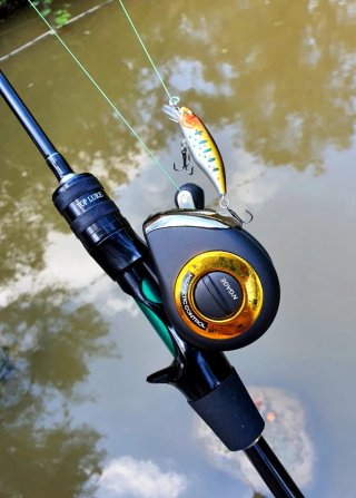 Equipo pesca Casting, Caña, Carrete, Vinilos
