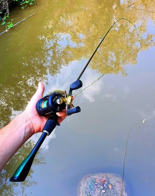 Equipo pesca Casting, Caña, Carrete, Vinilos
