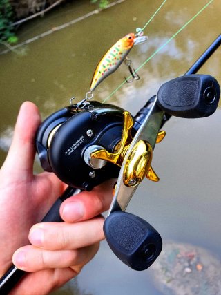Equipo pesca Casting, Caña, Carrete, Vinilos