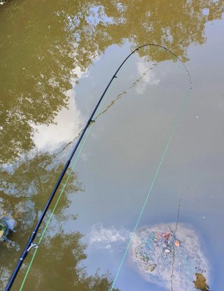 Equipo pesca Casting, Caña, Carrete, Vinilos