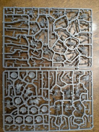 20 Esqueletos Soulblight Gravelords