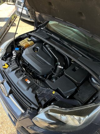 Ford Focus 2013