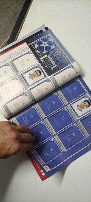 Album Figurine Panini Champions League 2008-2009