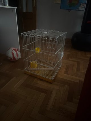 Jaula para loro