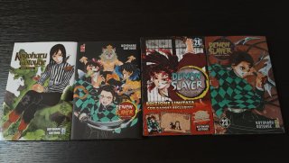 Demon slayer. Kimetsu no yaiba