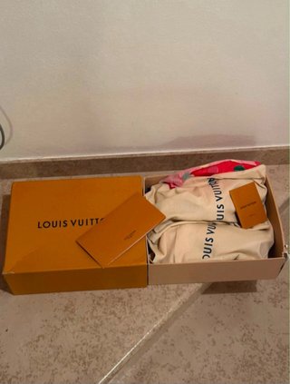 Louis Vuitton Skate