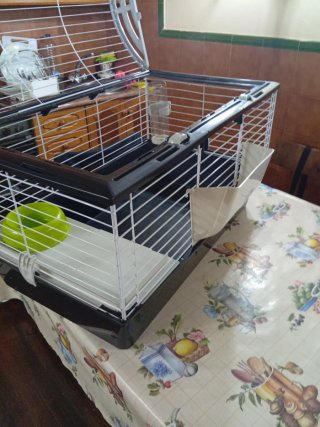 Jaula para conejos o cobayas
